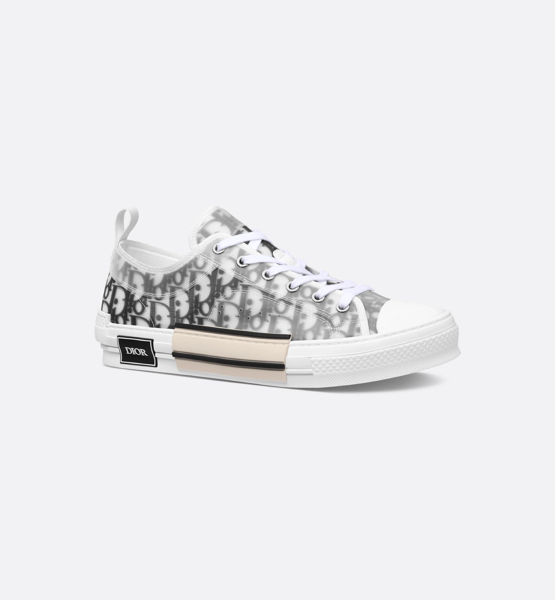 D ior B23 Low Top